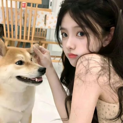 狗的生涯 海报